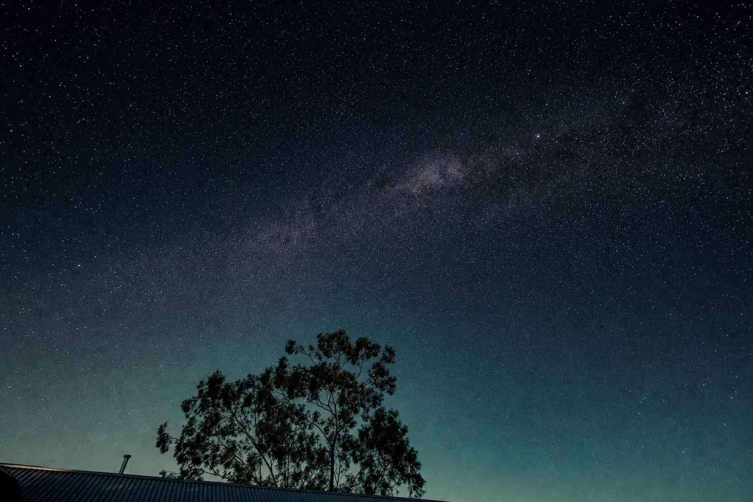 The night sky over a corrugated roof and a eucalyptus, the Milky Way overhead