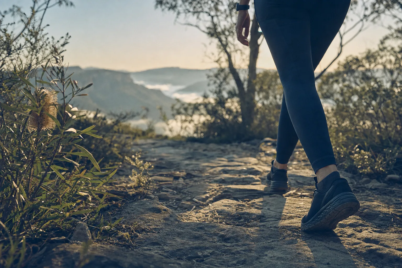 Walking a bush track above the valley at sunrise (AI-generated concept image; no real person depicted)